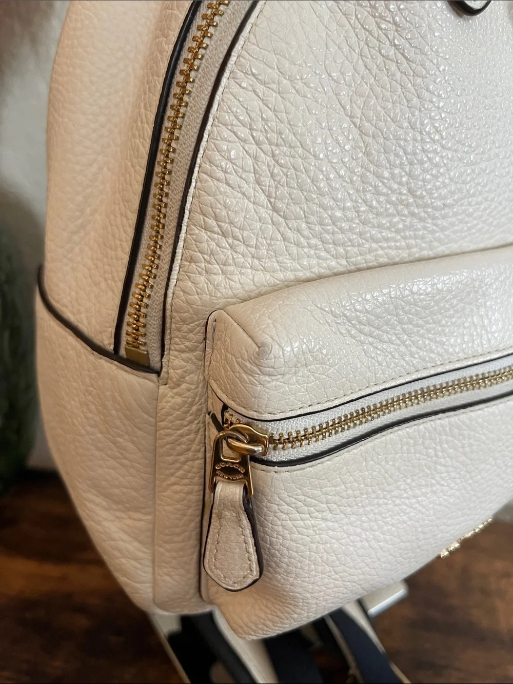 Coach Mini Charlie Backpack F28995 - Picture 6 of 16
